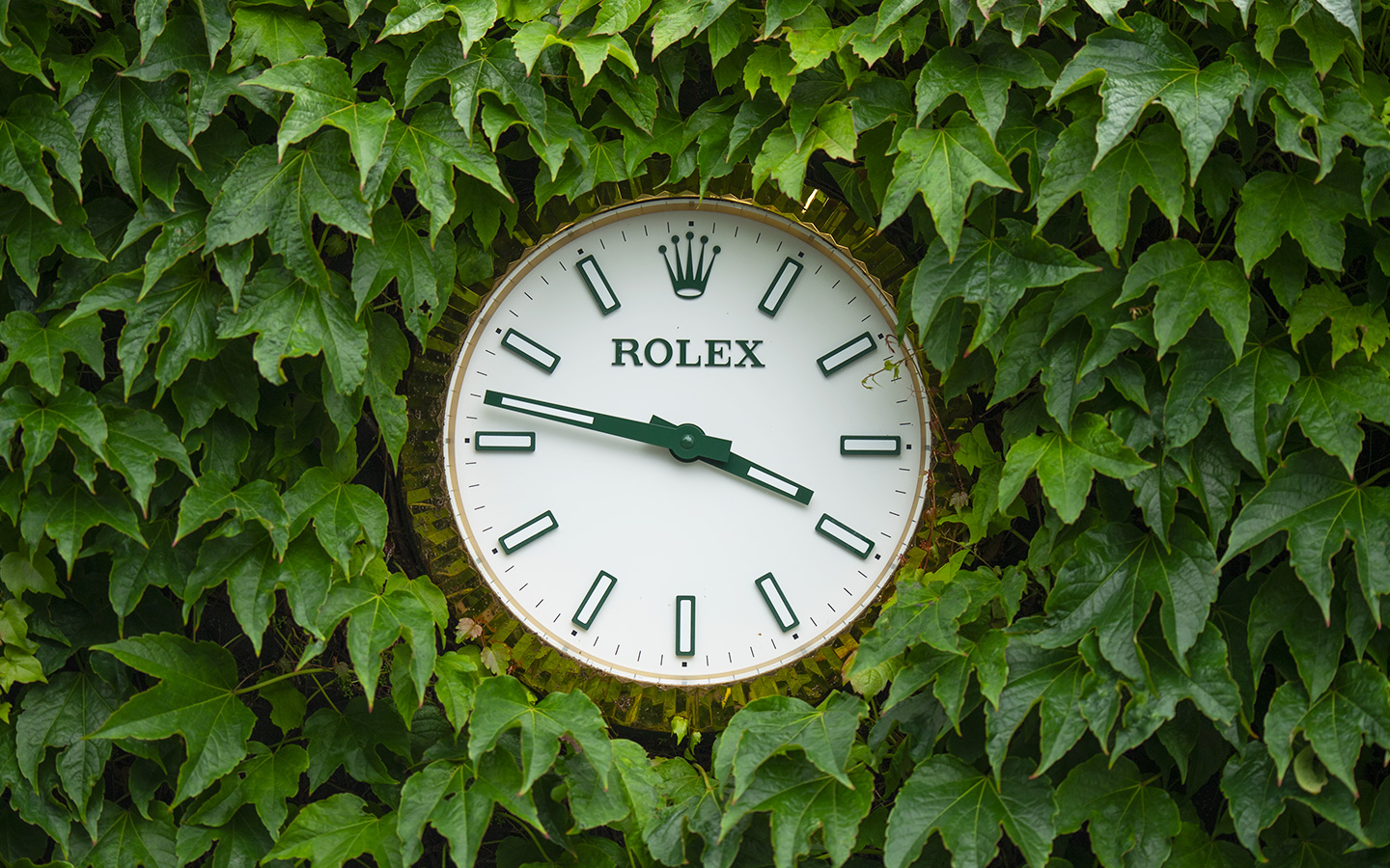 Rolex watch at Wimbledon