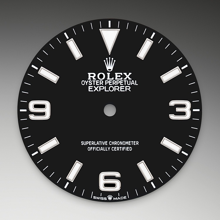 The tachymetric scaler Rolex Explorer white gold in Quera