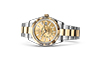 Rolex Sky-Dweller Intense white dial andchampagne in Quera