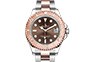 Rolex Yacht-Master 37 Everose Rolesor and Chocolate dial in Quera