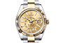 Rolex Sky-Dweller Intense white dial andchampagne in Quera