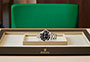 Presentación watchdesk reloj Rolex Sea-Dweller de acero Oystersteel, oro amarillo y esfera negra en Quera
