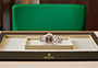 Presentation Rolex Watch Yacht-Master 40 Everose Rolesor and Chocolate dial in Quera
