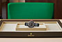 Presentation Rolex Watch Yacht-Master 40 Everose gold and black dial in Quera