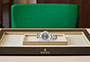 Presentación el reloj Rolex Yacht-Master 37 de acero Oystersteel y platino y esfera pizarra en Quera