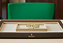 Presentación reloj Rolex Lady-Datejust oro amarillo y esfera color champagne engastada de diamantes en Quera