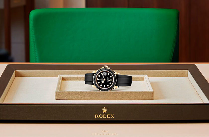 Presentation Rolex Watch Yacht-Master 42 yellow gold and black dial  in Quera